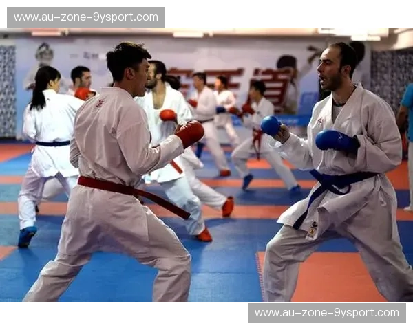 空手道数据回放——让每一次出拳都看得见进步